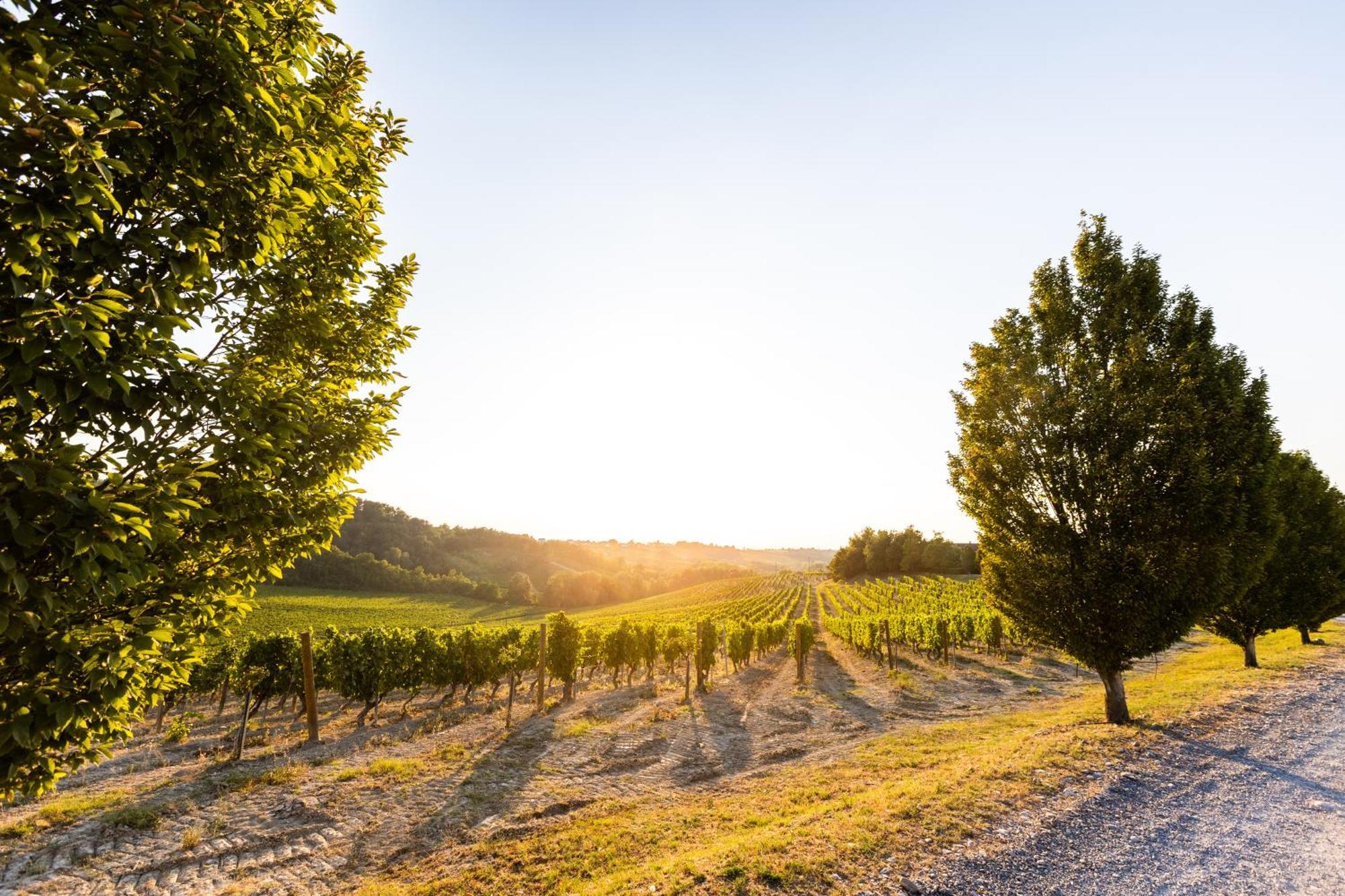 Tenuta La Meirana Gavi Kültér fotó