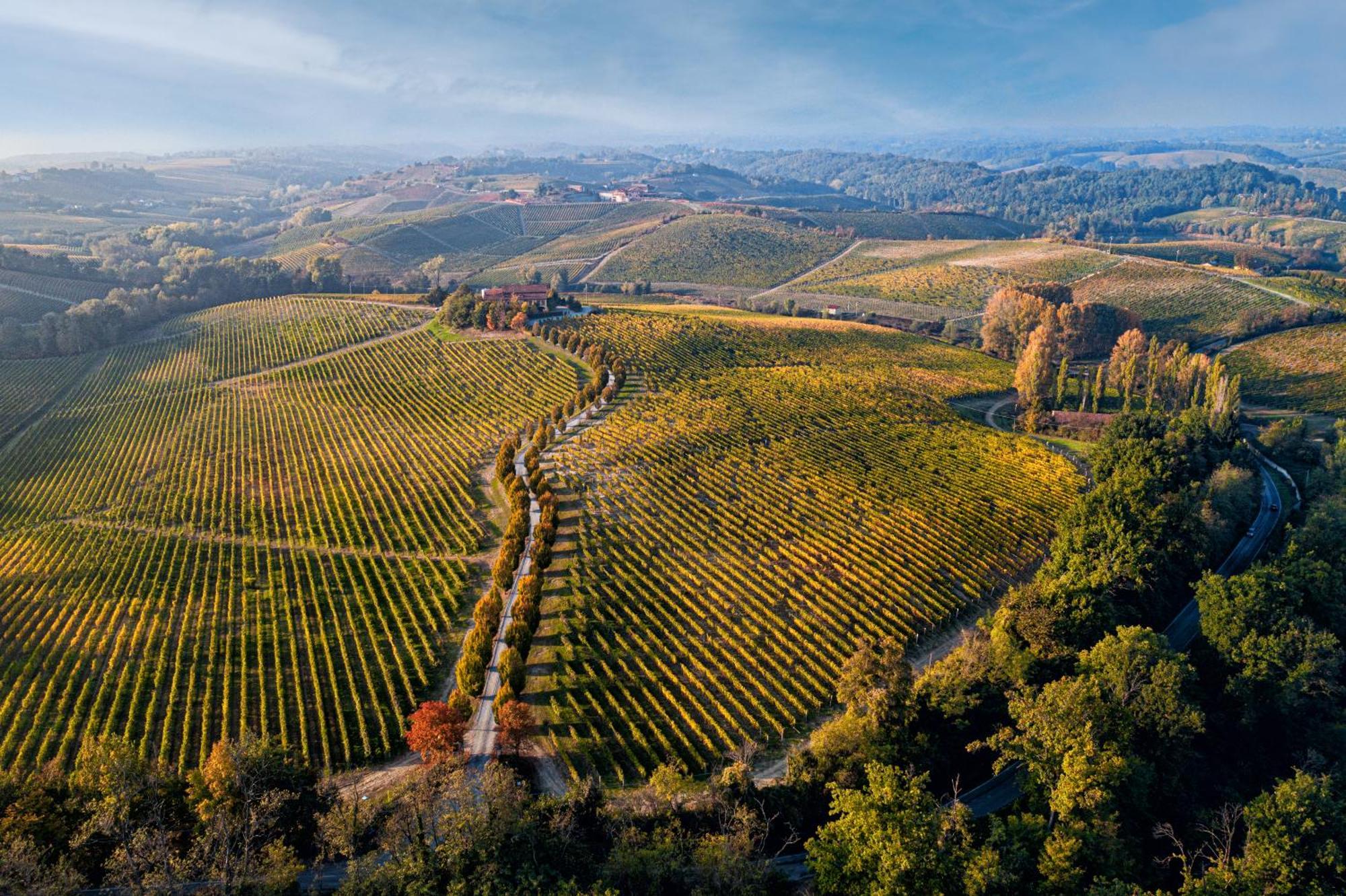 Tenuta La Meirana Gavi Kültér fotó