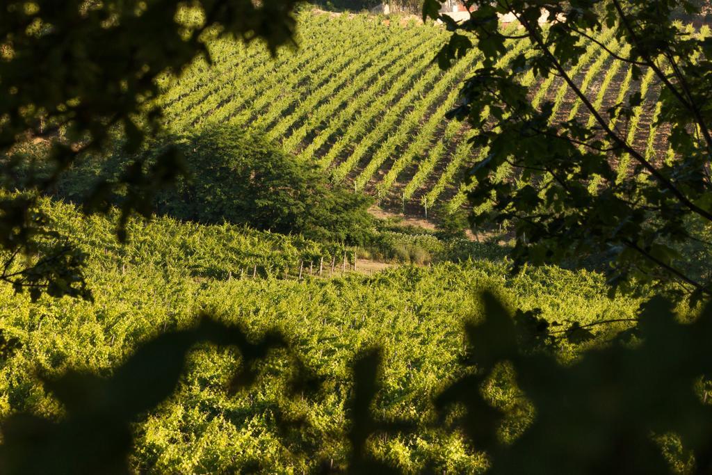 Tenuta La Meirana Gavi Kültér fotó