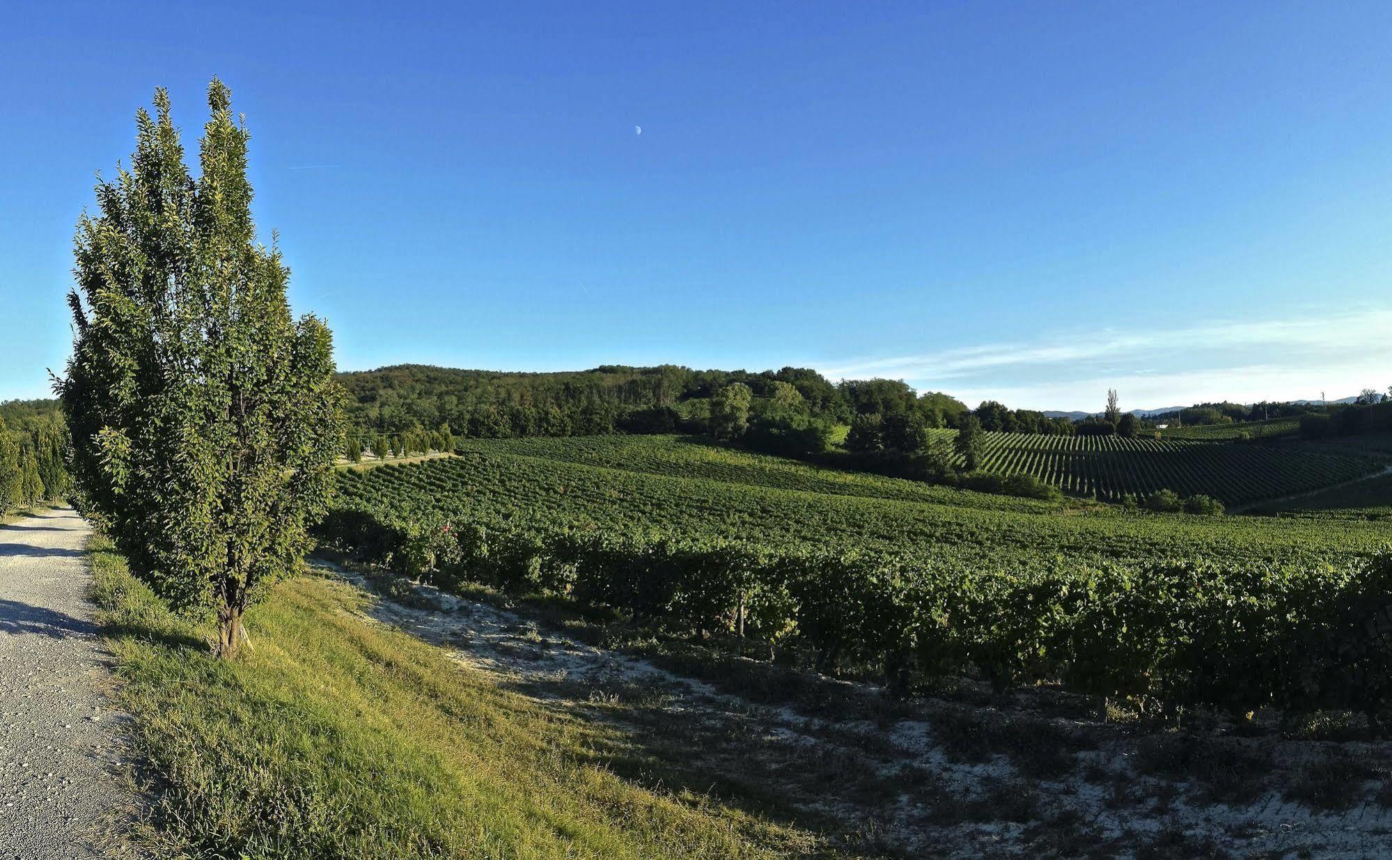 Tenuta La Meirana Gavi Kültér fotó